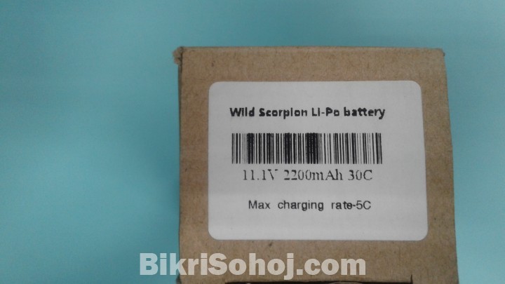Lipo battery wild scorpion.